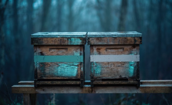 Two beehives standing close together, showing how easily two separate records can be treated as one.
