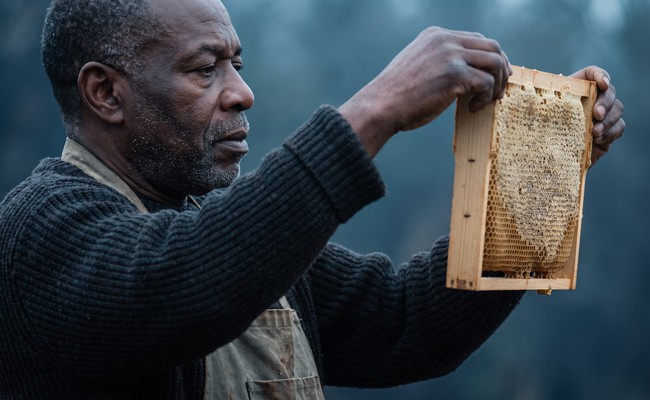 A beekeeper lifting a frame to examine it closely, the way a credit report has to be read line by line.
