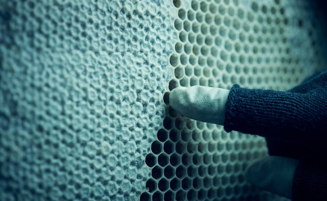 A fingertip marking the exact point where one pattern of comb ends and another begins.
