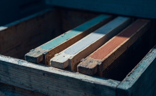 Hive frames marked with distinct colour bands so two records can never be confused again.
