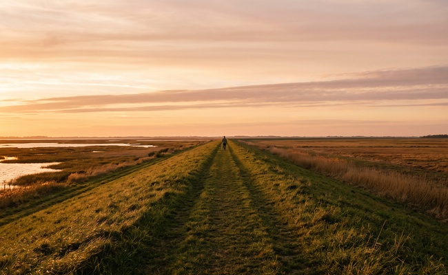 A single figure walks a long grass levee path toward a distant horizon at golden hour on a separate route entirely.