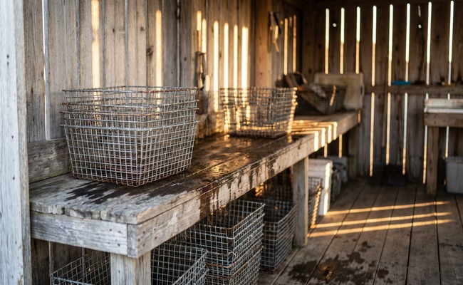 Unmarked wire baskets on a crab shack sorting bench at first light, the separating of what belongs from what does not that avoiding these mistakes requires.