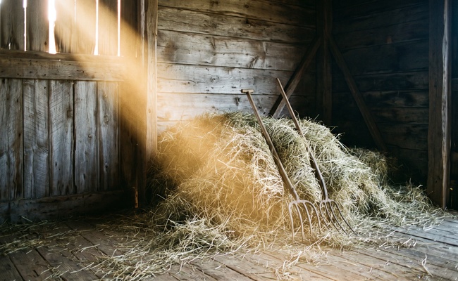 Loose hay stored in a barn with pitchforks leaning against it, kept against a future season the way closing documents are kept after you settle a debt before judgment.