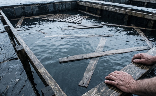 Weathered hands resting on the rim of a seawater holding tank, a reminder that some exposure sits below the surface